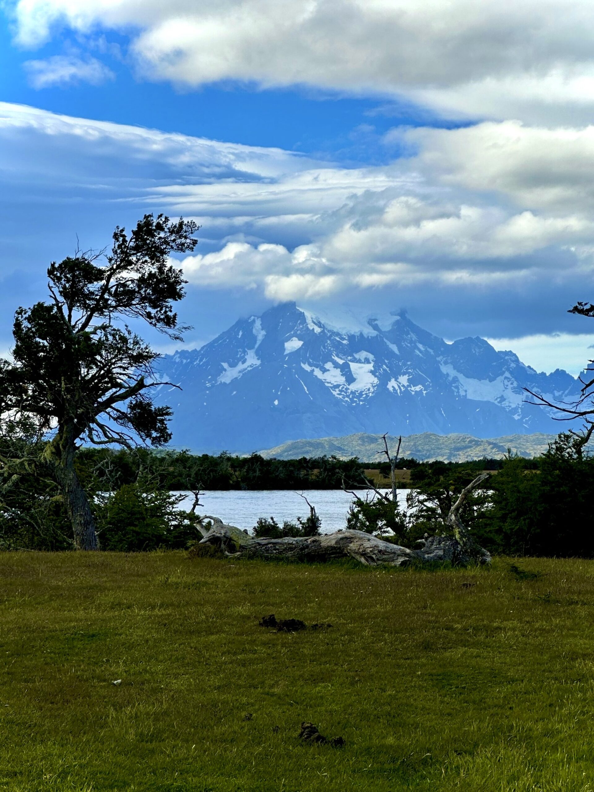 Grey Glacier with floating icebergs in Torres del Paine